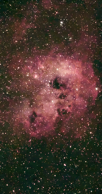 Tadpole Nebula